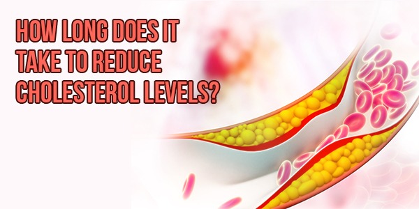 You are currently viewing How long does it take to reduce cholesterol levels?